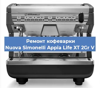 Чистка кофемашины Nuova Simonelli Appia Life XT 2Gr V от кофейных масел в Москве